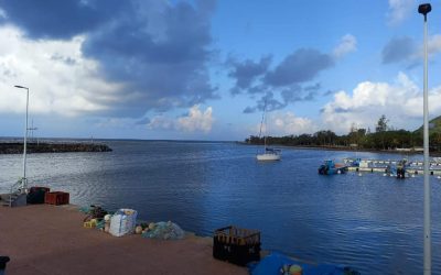 SARGASSES : INTERVENTION SUR LES PORTS DÉPARTEMENTAUX