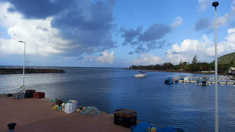 SARGASSES : INTERVENTION SUR LES PORTS DÉPARTEMENTAUX