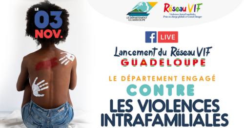 Réseau VIF’Guadeloupe : Lancement des ateliers