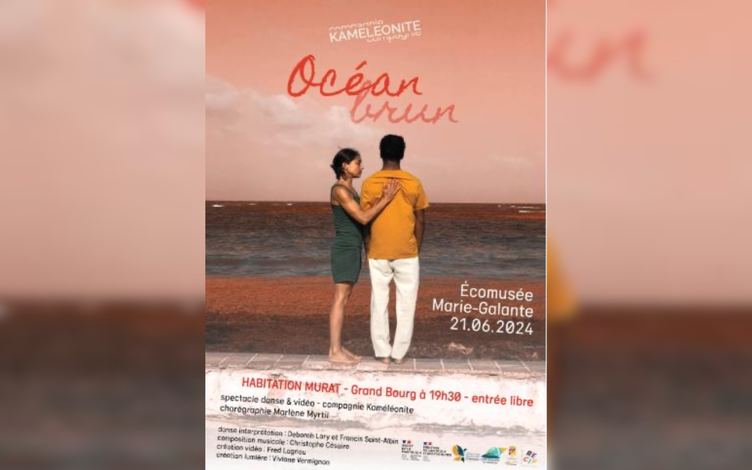 Pièce chorégraphique: Océan brun