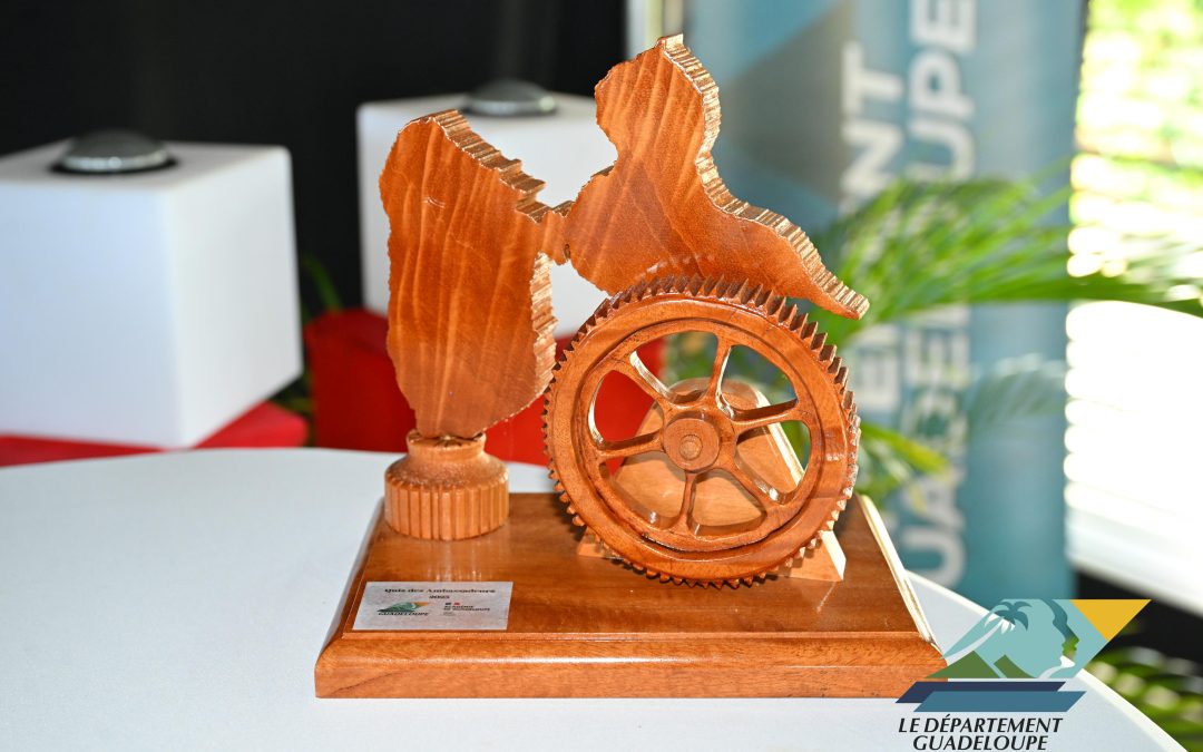 Finale départementale du concours Collégien ambassadeur du patrimoine
