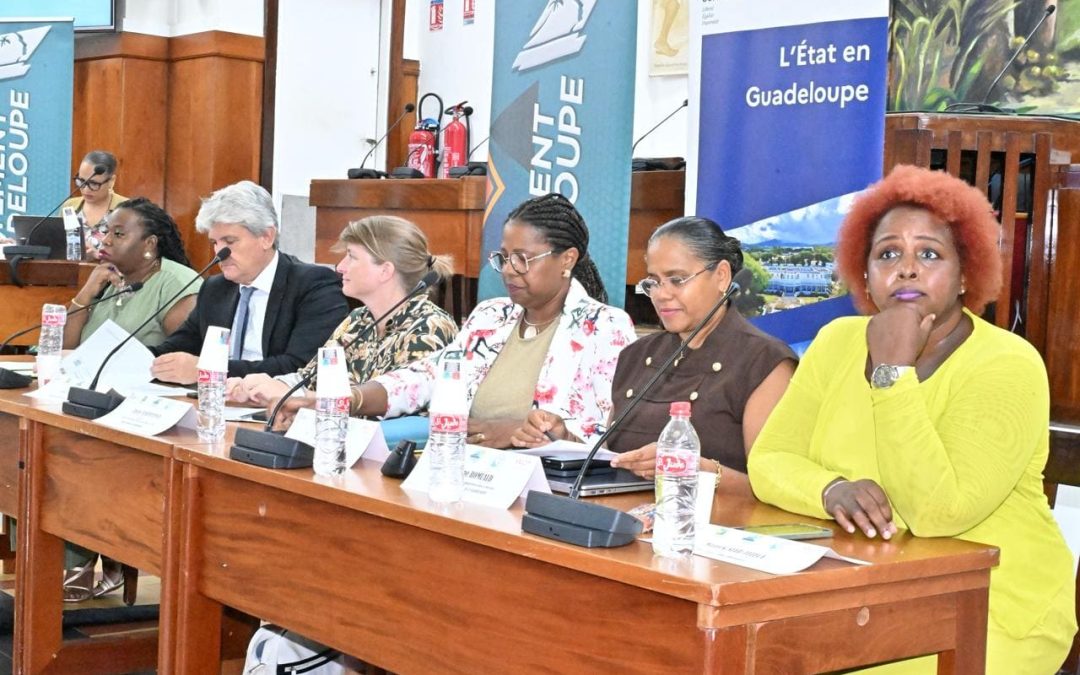 13ème Journées nationales d’action contre l’illettrisme : la Guadeloupe mobilisée